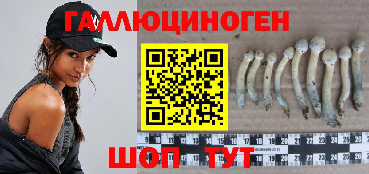 наркошоп  Вход с VPN  Кубинка  Псилоцибиновые грибы мицелий 