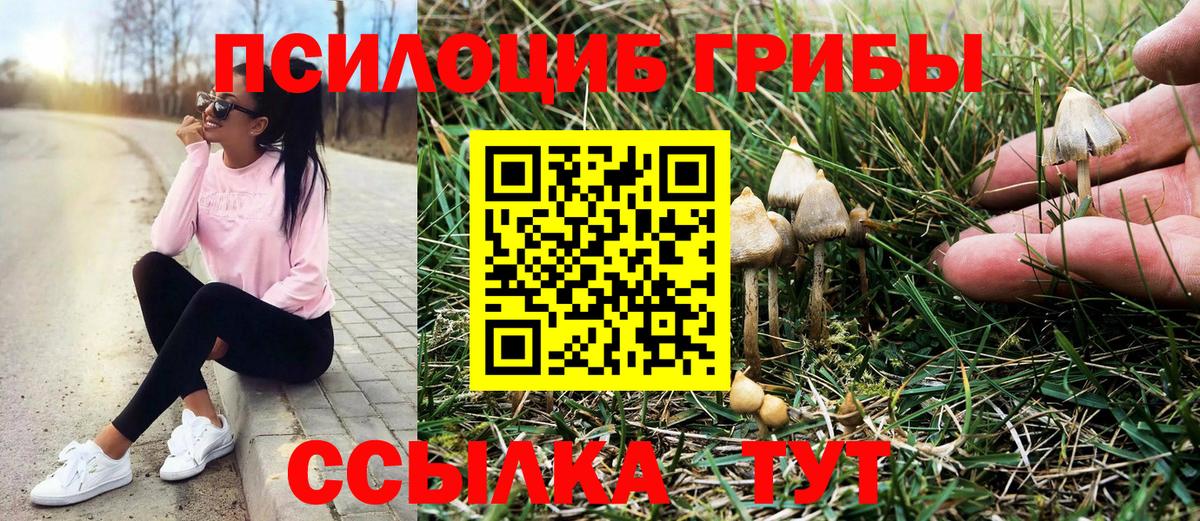 Псилоцибиновые грибы Psilocybine cubensis Кубинка